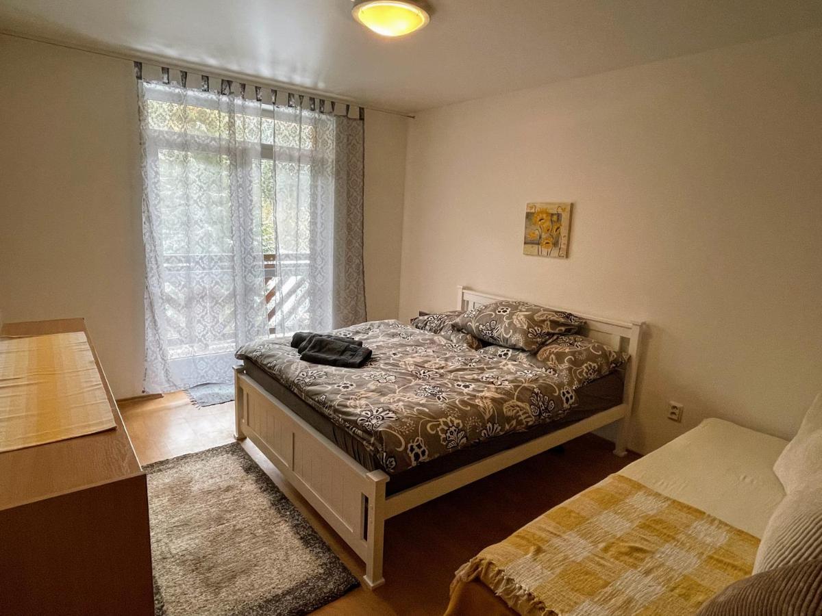 Apartman & Studio Tyrkys Spiezovec Donovaly Exteriör bild